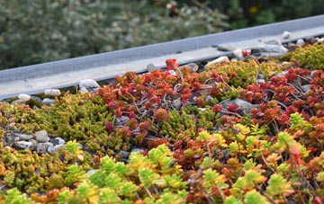 the cost of Daventry green roof installation