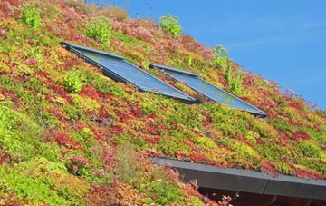 Daventry living roof systems